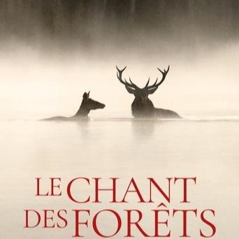 Voir! "Le chant des forêts" Streaming VF (4K) 𝙶𝚛𝚊tu𝚒t𝚎𝚖𝚎nt